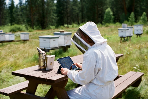Beekeeper using WeBeeS app during hive inspection